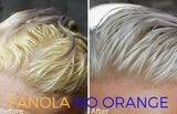 Fanola No Yellow and No Orange Shampoo Package, 1000 ml